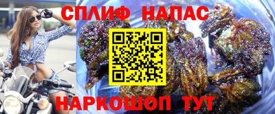 тгк Краснокаменск